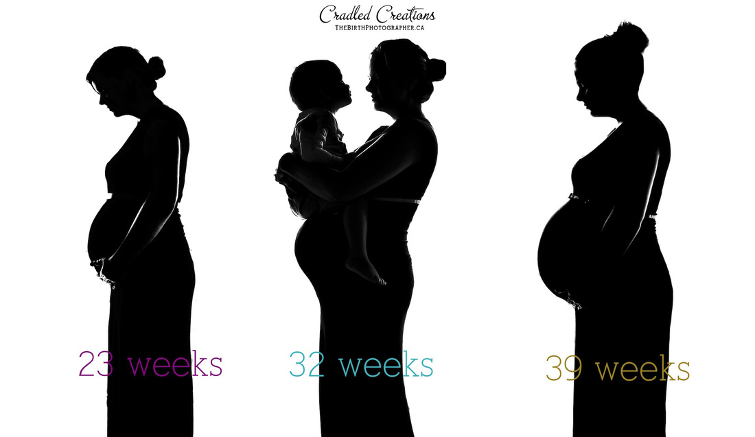 maternity progression silhouette