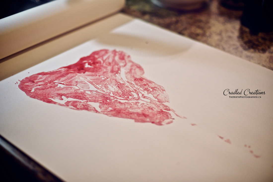 Birth Photography: placenta print 