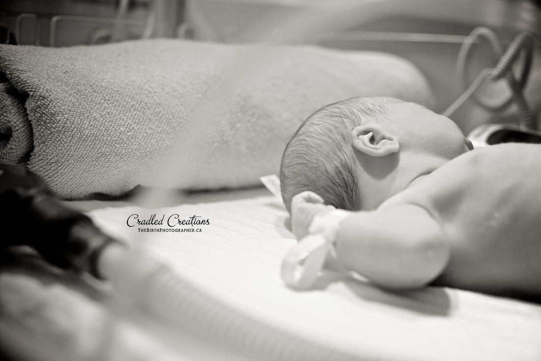 newborn birth photos