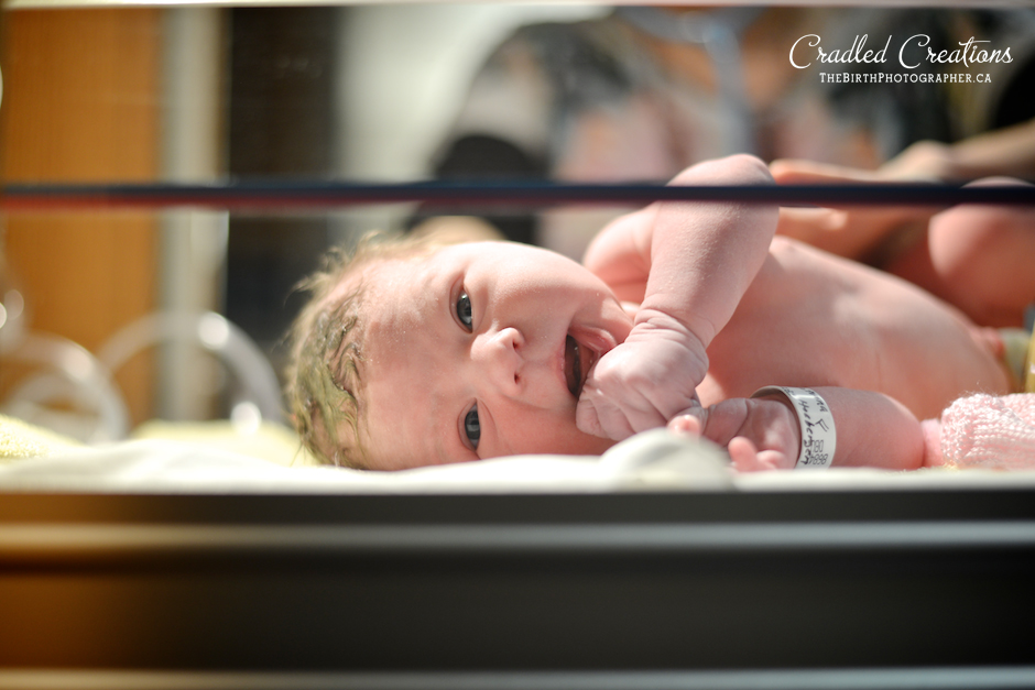 baby and newborn photography