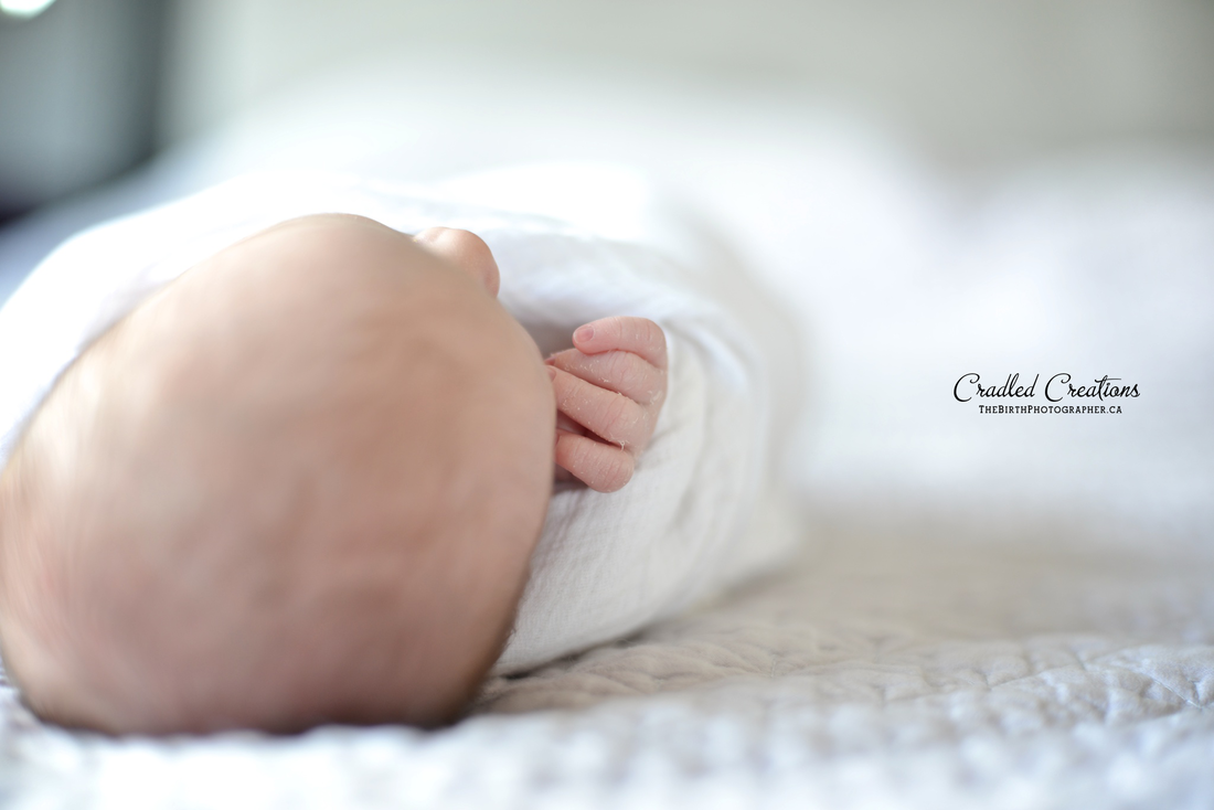 lifestyle newborn photography hand
