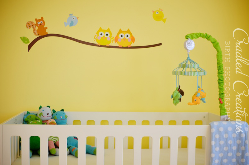 Yellow Nursery, owl nursery